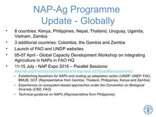NAP-Ag Programme
Update - Globally
• 8 countries: Kenya, Philippines, Nepal, Thailand, Uruguay, Uganda,
Vietnam, Zambia
• 3 additional countries: Colombia, the Gambia and Zambia
• Launch of FAO and UNDP websites
• 05-07 April - Global Capacity Development Workshop on Integrating
Agriculture in NAPs in FAO HQ
• 11-15 July - NAP Expo 2016 – Parallel Sessions:
www.fao.org/in-action/naps/news/events/nap-expo-2016/parallel-sessions/en/
– Establishing baselines for NAPs and scaling up adaptation action (UNDP, UNEP, FAO,
BMUB, GCF (Representative from Gambia, Thailand, Philippines, Kenya and Zambia)
– Experiences on ecosystem-based approaches under the Convention on Biological
Diversity (CBD, FAO)
– Technical guidance on NAPs (Representative from Philippines)
11
 