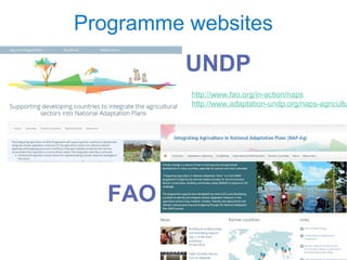 Programme websites
12
UNDP
FAO
http://www.fao.org/in-action/naps
http://www.adaptation-undp.org/naps-agricultu
 