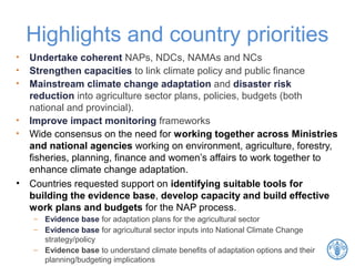 Highlights and country priorities
• Undertake coherent NAPs, NDCs, NAMAs and NCs
• Strengthen capacities to link climate policy and public finance
• Mainstream climate change adaptation and disaster risk
reduction into agriculture sector plans, policies, budgets (both
national and provincial).
• Improve impact monitoring frameworks
• Wide consensus on the need for working together across Ministries
and national agencies working on environment, agriculture, forestry,
fisheries, planning, finance and women’s affairs to work together to
enhance climate change adaptation.
• Countries requested support on identifying suitable tools for
building the evidence base, develop capacity and build effective
work plans and budgets for the NAP process.
– Evidence base for adaptation plans for the agricultural sector
– Evidence base for agricultural sector inputs into National Climate Change
strategy/policy
– Evidence base to understand climate benefits of adaptation options and their
planning/budgeting implications
 