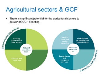 Agricultural sectors & GCF
• There is significant potential for the agricultural sectors to
deliver on GCF priorities.
 