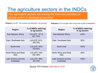 Region
% of INDCs referring
to ag sectors
Sub-Saharan Africa LULUCF: 87 %
AG: 76%
East / Southeast Asia LULUCF: 81%
AG:75%
South Asia LULUCF: 63%
AG:63%
North Africa and West
Asia
LULUCF: 74%
AG: 58%
Latin America and the
Caribbean
LULUCF: 88%
AG:73%
Mitigation (LULUCF: 145 countries) and (Agriculture: 140 countries) Adaptation (131 countries refer to Ag in the context of adaptation)
Region
% of INDCs referring
to ag sectors
Sub-Saharan Africa 100%
East / Southeast Asia 92%
South Asia 100%
North Africa and West
Asia
93%
Latin America and the
Caribbean
100%
Source: FAO analysis, data status 7.9.16
The agriculture sectors in the INDCs
The agriculture sectors are among the foremost priorities for
climate action in developing countries
 