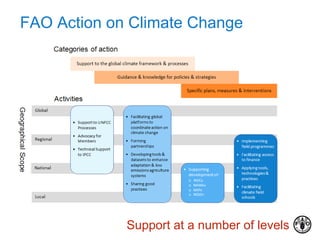FAO Action on Climate Change
Support at a number of levels
 