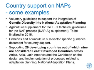 Country support on NAPs
- some examples
• Voluntary guidelines to support the integration of
Genetic Diversity into National Adaptation Planning
• Agriculture supplement for the LEG technical guidelines
for the NAP process (NAP-Ag supplement). To be
finalized in 2016.
• Fisheries and aquaculture sub-sector specific guidance
document for country support.
• Supporting 29 developing countries out of which nine
are considered Least Developed Countries across
Africa, Asia, Latin America and the Caribbean on the
design and implementation of processes related to
adaptation planning/ National Adaptation Plans.
 