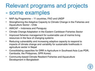 Relevant programs and projects
- some examples
• NAP-Ag Programme – 11 countries, FAO and UNDP
• Strengthening the Adaptive Capacity to Climate Change in the Fisheries and
Aquaculture Sector - Chile
• AMICAF – Indonesia and Paraguay
• Climate Change Adaptation in the Eastern Caribbean Fisheries Sector
• Improved fisheries management for sustainable use of marine living
resources in the face of changing systems
• Reducing vulnerability and increasing adaptive capacity to respond to
impacts of climate change and variability for sustainable livelihoods in
agriculture sector in Nepal
• Consolidating capacities for DRR in Agriculture in Southeast Asia (Lao PDR,
Cambodia, the Philippines, DPR Korea)
• Community-based Climate Resilient Fisheries and Aquaculture
Development in Bangladesh
 