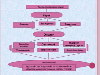 Төсөөллийн мөн чанар
Үүрэг
ЗохицуулахДохионы Тохируулах
Онцлог
Ерөнхийлөн
дүгнэсэн
Системтэй
Тодорхой
нөхцөлд үүсэх
Ухамсарласан Тодорхой байдал Дүрийн бүрэн байдал
Физиологи үндэс
Хүртэхүйн төв мэдрэлийн тогтолцооны бодит
хөөрлөөс үүссэн их тархины гадрын “ул мөр”
 