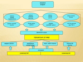 юмсын
хэмжээг
өөрчлөх
юмсын
хэсгийг
нэгтгэх
юмсыг зохион
бүтээх
дүрийн шинжийг
тод.лах
бусад зүйлд
шилж.х
дүрийн
шинжийг сулр-х
нэгтгэн дүгнэж
дүр бүт-х
хөөрөл саатал иррадиаци
концентраци
эерэг, сөрөг индукци анализ ба
синтез
ухамсартай ухамсаргүй
үүсэхдээ:
ЗОХИОН
БОДОХ
юмсын
дүрийг
тодорхойлох
физилоги үндэс
процессын ул мөр
 