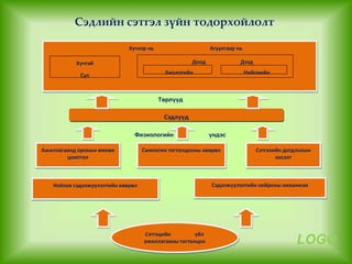 Leg14 | PPT