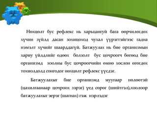 Нөхцөлт бус рефлекс нь харьцангуй бага өөрчилөгдөх
хүчин зүйлд дасан зохицоход чухал үүрэгтэйгээс гадна
нэмэлт хүчийг шаарддагүй. Батжуулах нь бие организмын
хариу үйлдлийг өдөөх болзолт бус цочроогч бөгөөд бие
организмд хоолны бус цочроогчийн өмнө хослон өгөгдөх
тохиолдолд сонгодог нөхцөлт рефлекс үүсдэг.
Батжуулахыг бие организмд муугаар нөлөөтэй
(цахилгаанаар цочроох зэрэг) үед сөрөг (шийтгэл),хоолоор
батжуулахыг эерэг (шагнах) гэж нэрлэдэг
 