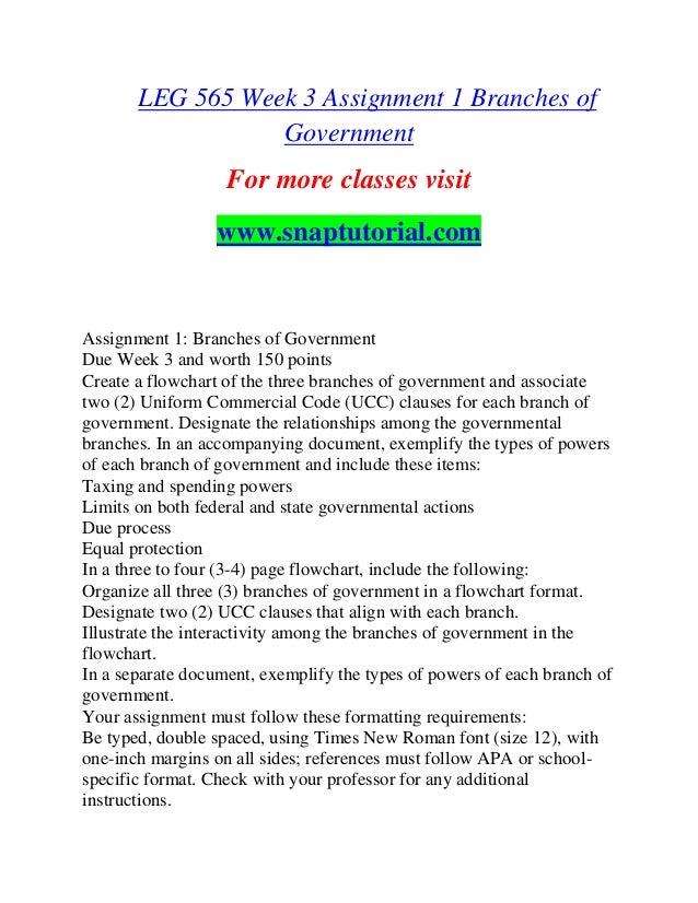 Homework help branches of government