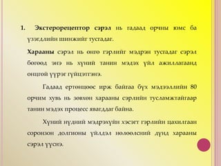 1. Экстерорецептор сэрэл нь гадаад орчны юмс ба
үзэгдлийн шинжийг тусгадаг.
Харааны сэрэл нь өнгө гэрлийг мэдрэн тусгадаг сэрэл
бөгөөд энэ нь хүний танин мэдэх үйл ажиллагаанд
онцгой үүрэг гүйцэтгэнэ.
Гадаад ертөнцөөс ирж байгаа бүх мэдээллийн 80
орчим хувь нь зөвхөн харааны сэрлийн тусламжтайгаар
танин мэдэх процесс явагддаг байна.
Хүний нүдний мэдрэхүйн хэсэгт гэрлийн цахилгаан
соронзон долгионы үйлдэл нөлөөлсний дүнд харааны
сэрэл үүснэ.
 