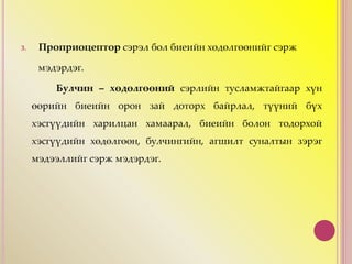 3. Проприоцептор сэрэл бол биеийн хөдөлгөөнийг сэрж
мэдэрдэг.
Булчин – хөдөлгөөний сэрлийн тусламжтайгаар хүн
өөрийн биеийн орон зай доторх байрлал, түүний бүх
хэсгүүдийн харилцан хамаарал, биеийн болон тодорхой
хэсгүүдийн хөдөлгөөн, булчингийн, агшилт суналтын зэрэг
мэдээллийг сэрж мэдэрдэг.
 