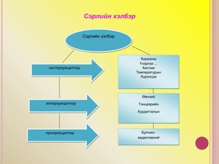 Сэрлийн хэлбэр
экстерорецептор
Харааны
Үнэрлэх ...
Амтлах
Температурын
Хүрэлцэх
интерорецептор
проприоцептор
Өвчний
Тэнцвэрийн
Хурдатгалын
Булчин-
хөдөлгөөний
Сэрлийн хэлбэр
 