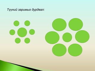 Түүний заримыг дурдвал:
 