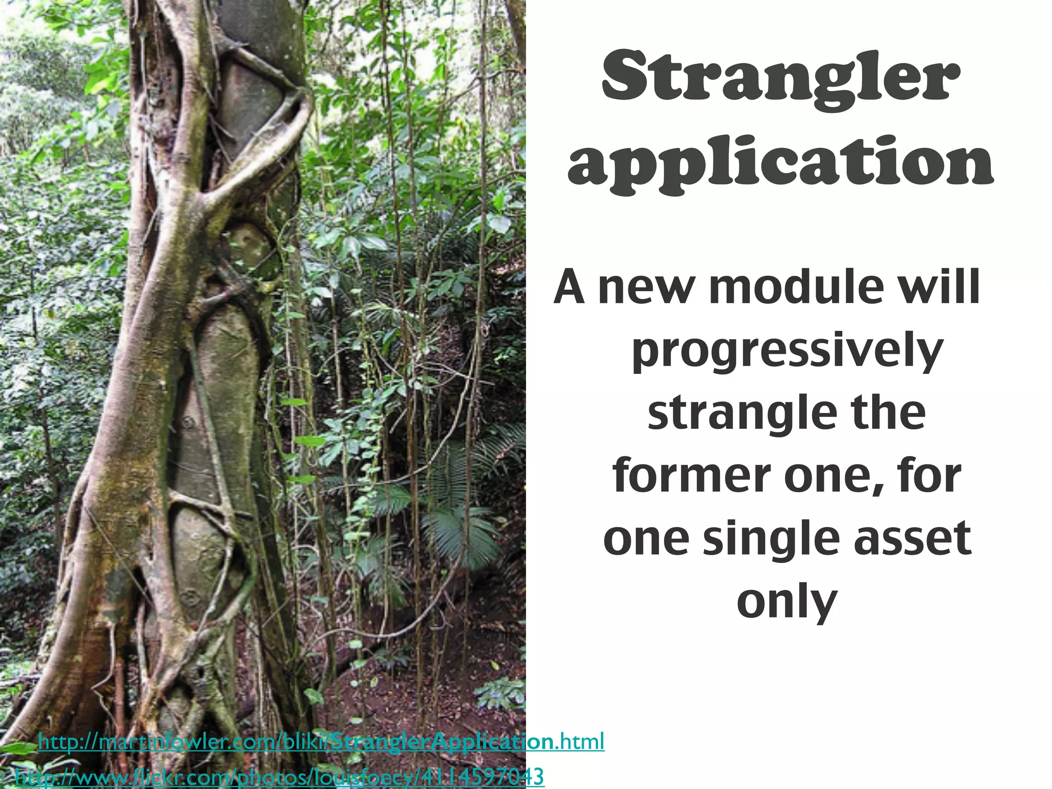 Strangler 
application 
A new module will 
progressively 
strangle the 
former one, for 
one single asset 
only 
http://martinfowler.com/bliki/StranglerApplication.html 
http://www.flickr.com/photos/louisfoecy/4114597043 
 