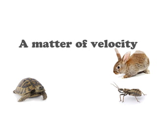 A matter of velocity 
 