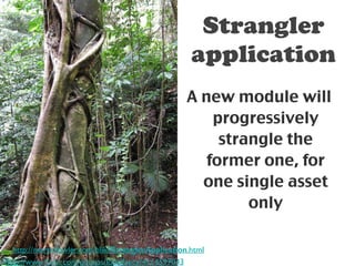 Strangler 
application 
A new module will 
progressively 
strangle the 
former one, for 
one single asset 
only 
http://martinfowler.com/bliki/StranglerApplication.html 
http://www.flickr.com/photos/louisfoecy/4114597043 
 