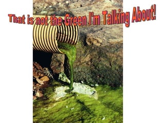 That is not the Green I'm Talking About! 