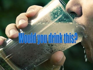 Would you drink this? 