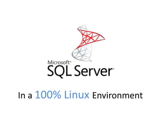 In a 100% Linux Environment
 