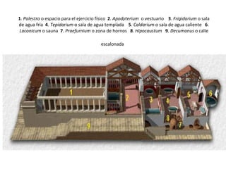 1 .  Palestra  o espacio para el ejercicio físico   2 .  Apodyterium   o vestuario     3 .  Frigidarium  o sala de agua fría   4 .  Tepidarium  o sala de agua templada     5 .  Caldarium  o sala de agua caliente    6 .  Laconicum  o sauna   7 .  Praefurnium  o zona de hornos    8 .  Hipocaustum     9 .  Decumanus  o calle escalonada                                                                                                                                                                                                                                                                                                                                                               
