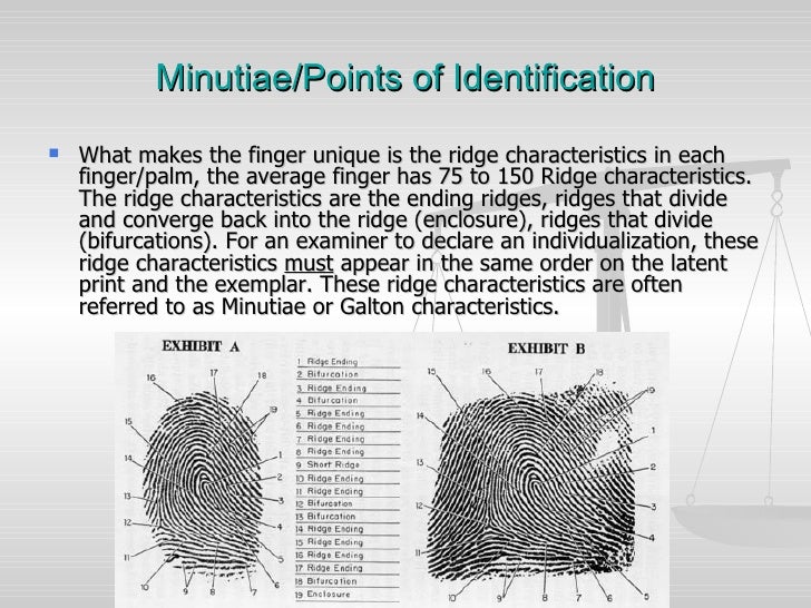 Latent Fingerprint Individualization