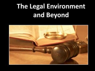 The Legal Environment
     and Beyond
 