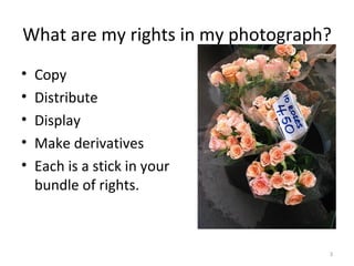Legal Issues In Photography