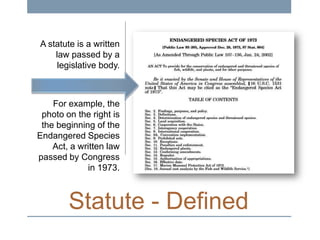 A statute is a written
law passed by a
legislative body.

For example, the
photo on the right is
the beginning of the
Endangered Species
Act, a written law
passed by Congress
in 1973.

Statute - Defined

 