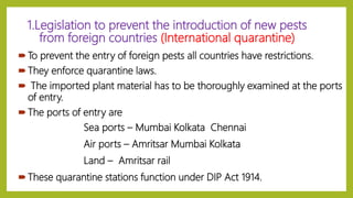 1.Legislation to prevent the introduction of new pests
from foreign countries (International quarantine)
To prevent the entry of foreign pests all countries have restrictions.
They enforce quarantine laws.
 The imported plant material has to be thoroughly examined at the ports
of entry.
The ports of entry are
Sea ports – Mumbai Kolkata Chennai
Air ports – Amritsar Mumbai Kolkata
Land – Amritsar rail
These quarantine stations function under DIP Act 1914.
 