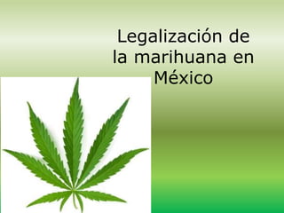 Legalización de
la marihuana en
México
 