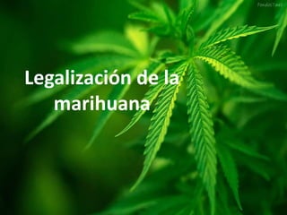 Legalización de la
marihuana

 