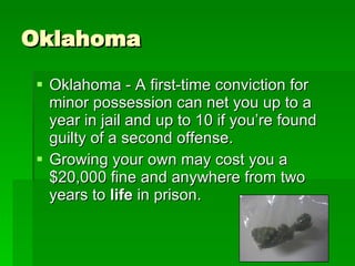 Legalization Of Marijuana | PPT