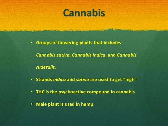 Legalize it!
