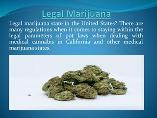 Legal marijuana state in the United States? There are
many regulations when it comes to staying within the
legal parameters of pot laws when dealing with
medical cannabis in California and other medical
marijuana states.
 