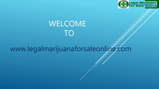 WELCOME
TO
www.legalmarijuanaforsaleonline.com
 