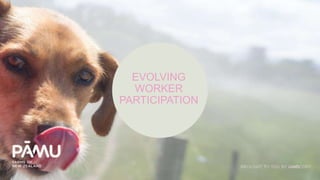 EVOLVING
WORKER
PARTICIPATION
 