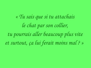 « Tu sais que si tu attachais le chat par son collier, tu pourrais aller beaucoup plus vite et surtout, ça lui ferait moins mal ? »