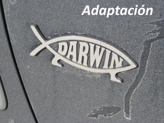 Adaptación
 