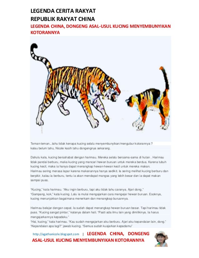 6100 Gambar Cerita Hewan Kucing Terbaru - Gambar Hewan