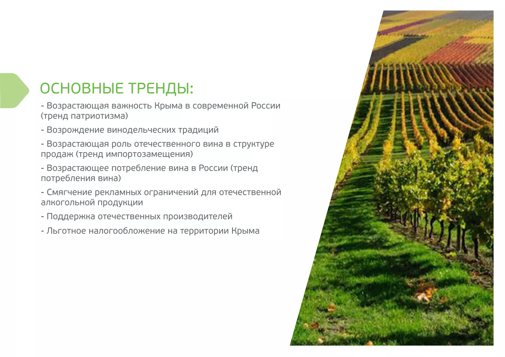 ОСНОВНЫЕ ТРЕНДЫ:
- Возрастающая важность Крыма в современной России
(тренд патриотизма)
- Возрождение винодельческих традиций
- Возрастающая роль отечественного вина в структуре
продаж (тренд импортозамещения)
- Возрастающее потребление вина в России (тренд
потребления вина)
- Смягчение рекламных ограничений для отечественной
алкогольной продукции
- Поддержка отечественных производителей
- Льготное налогообложение на территории Крыма
 