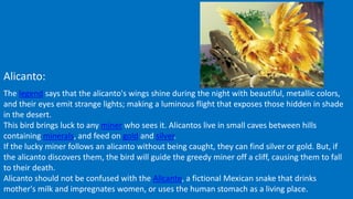 Alicanto:
The legend says that the alicanto's wings shine during the night with beautiful, metallic colors,
and their eyes emit strange lights; making a luminous flight that exposes those hidden in shade
in the desert.
This bird brings luck to any miner who sees it. Alicantos live in small caves between hills
containing minerals, and feed on gold and silver.
If the lucky miner follows an alicanto without being caught, they can find silver or gold. But, if
the alicanto discovers them, the bird will guide the greedy miner off a cliff, causing them to fall
to their death.
Alicanto should not be confused with the Alicante, a fictional Mexican snake that drinks
mother's milk and impregnates women, or uses the human stomach as a living place.
 