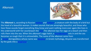 Alkonost:
The Alkonost is, according to Russian mythos and folklore, a creature with the body of a bird but
the head of a beautiful woman. It makes sounds that are amazingly beautiful, and those who
hear these sounds forget everything they know and want nothing more ever again.She lives in
the underworld with her counterpart the sirin.The alkonost lays her eggs on a beach and then
rolls them into the sea. When the alkonost's eggs hatch, a thunderstorm sets in and the sea
becomes so rough that it is untravelable. The name of the alkonost came from
a Greek demigoddess whose name was Alcyone. In Greek mythology, Alcyone was transformed
by the gods into a kingfisher.
 