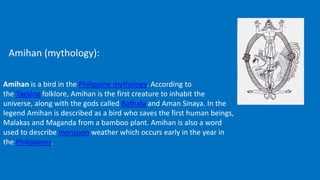 Amihan (mythology):
Amihan is a bird in the Philippine mythology. According to
the Tagalog folklore, Amihan is the first creature to inhabit the
universe, along with the gods called Bathala and Aman Sinaya. In the
legend Amihan is described as a bird who saves the first human beings,
Malakas and Maganda from a bamboo plant. Amihan is also a word
used to describe monsoon weather which occurs early in the year in
the Philippines.
 