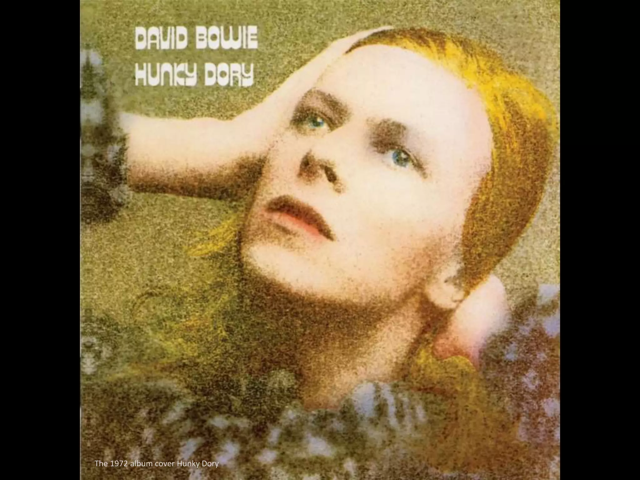 The 1972 album cover Hunky Dory
 