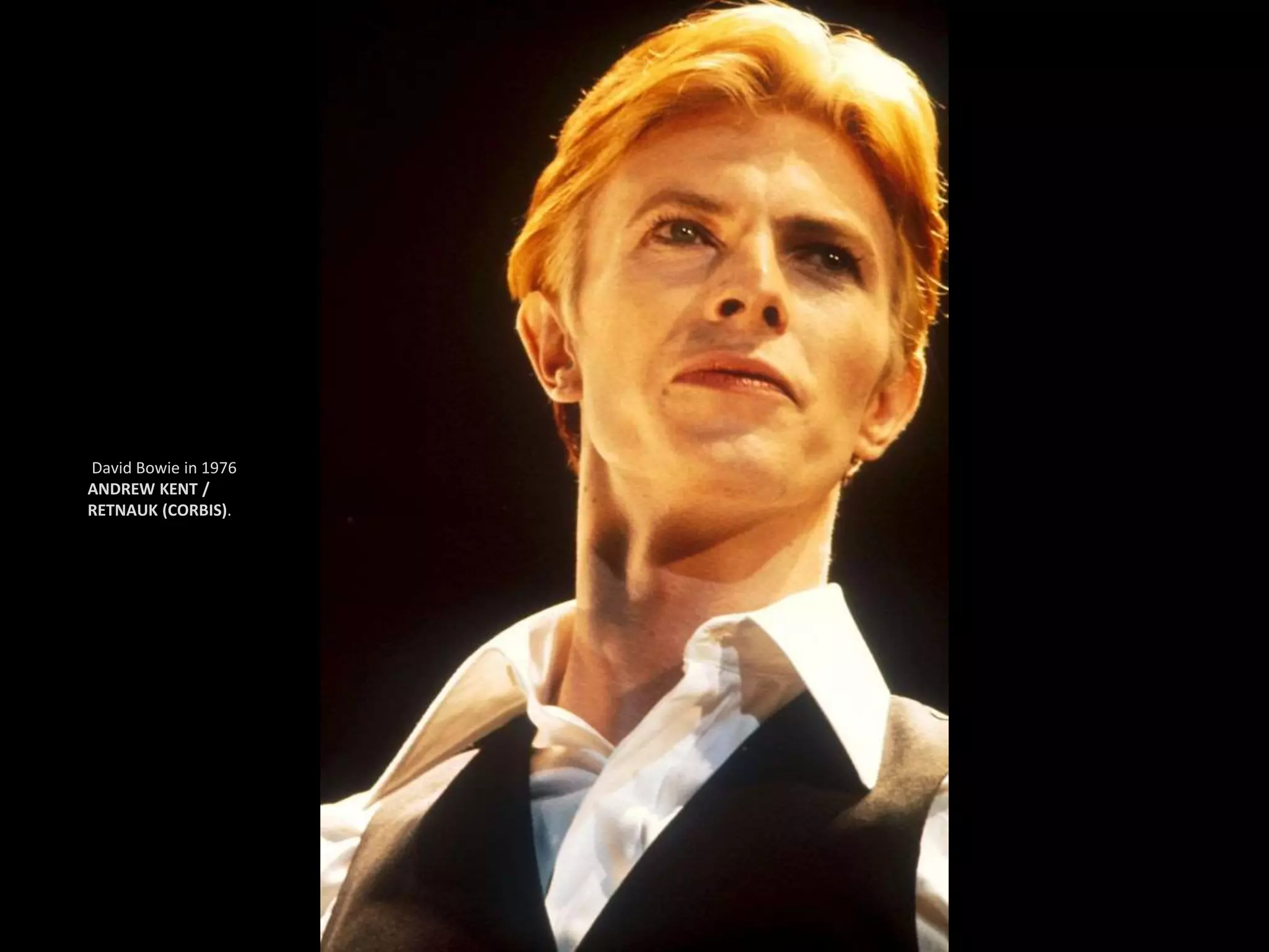 David Bowie in 1976
ANDREW KENT /
RETNAUK (CORBIS).
 