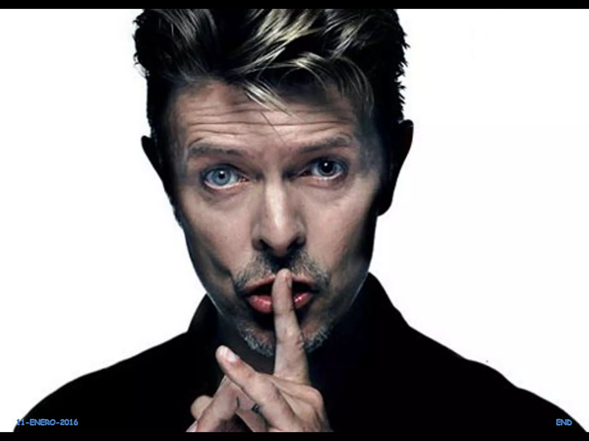  David Bowie (1947-2016)