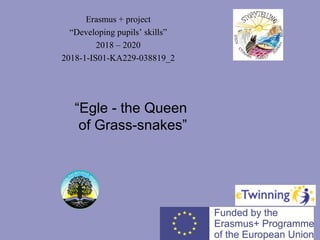 Erasmus + project
“Developing pupils’ skills”
2018 – 2020
2018-1-IS01-KA229-038819_2​
“Egle - the Queen
of Grass-snakes”
 