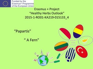 Erasmus + Project
“Healthy Herbs Outlook”
2015-1-RO01-KA219-015133_4
“ A Fern”
“Papartis”
 