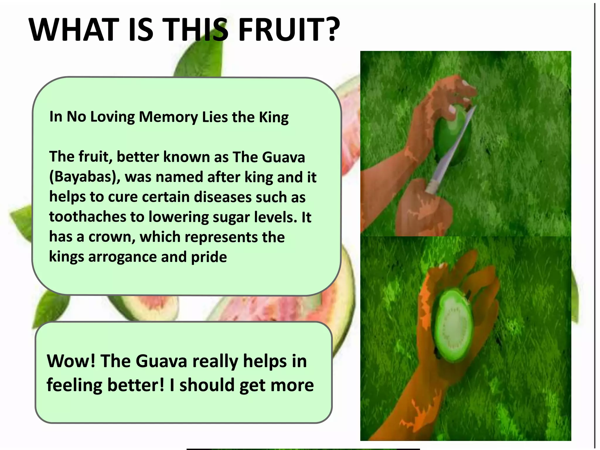 Legend of guava | PPTX