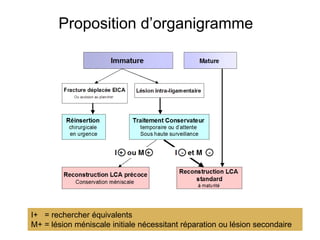 Proposition d’organigramme 
I+ = rechercher équivalents 
M+ = lésion méniscale initiale nécessitant réparation ou lésion secondaire 
 